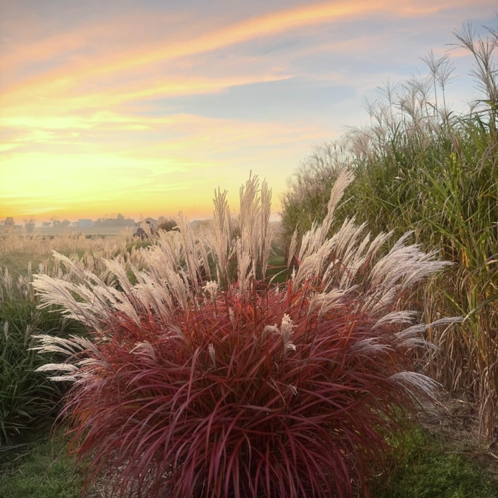 494051167_1092063889620533_4179334694629688688_n