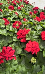 img_20260414_133000333_hdr