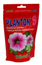 planton_s_