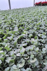 37f58dee-af70-4bbe-b6b4-1392907445961