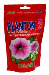 planton_s_