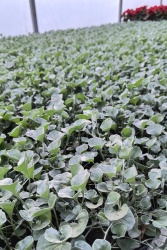 37f58dee-af70-4bbe-b6b4-1392907445961