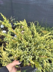 img_20260528_124123933_hdr