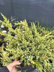 img_20260528_124123933_hdr