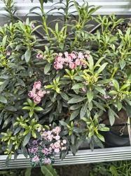 img_20260602_131207244_hdr