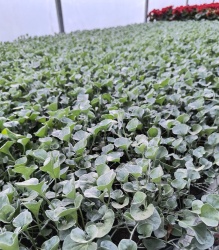 37f58dee-af70-4bbe-b6b4-1392907445961