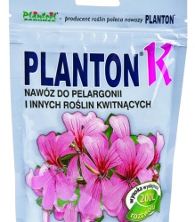 planton_k