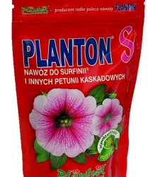 planton_s_