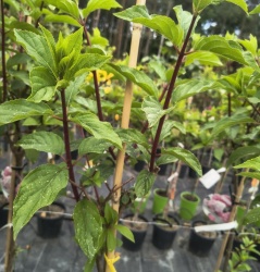 img_20260602_134454468_hdr