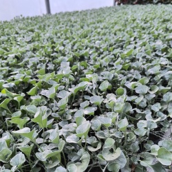 37f58dee-af70-4bbe-b6b4-1392907445961