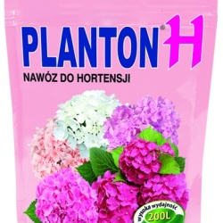 planton_h2
