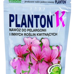 planton_k