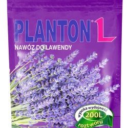 planton_l_do_lawendy_12