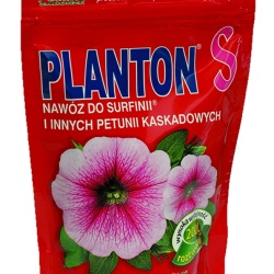 planton_s_