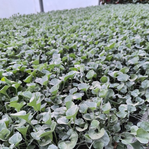 37f58dee-af70-4bbe-b6b4-1392907445961