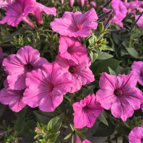 img_20250503_151642810_hdr