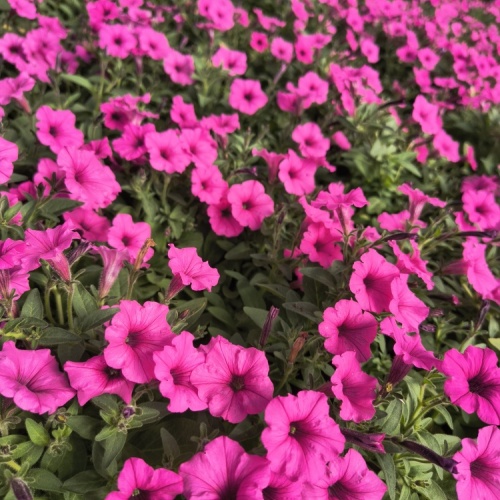 img_20250506_153413525_hdr