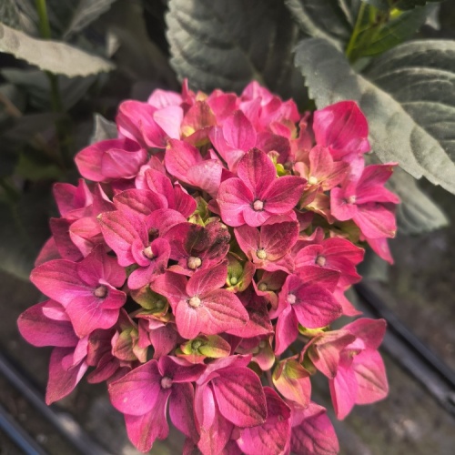 img_20260602_162140384_hdr