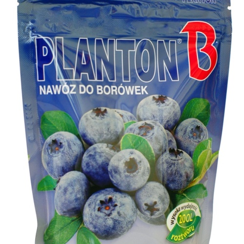 planton_b