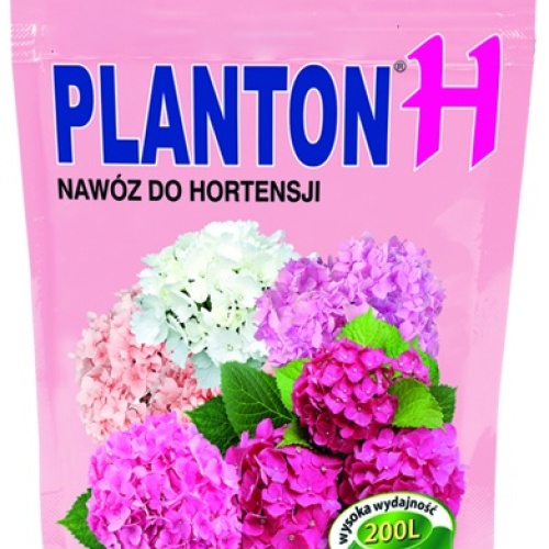 planton_h2