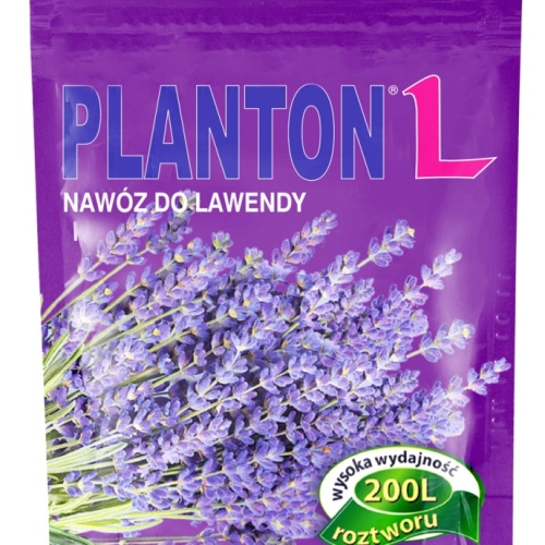planton_l_do_lawendy_12