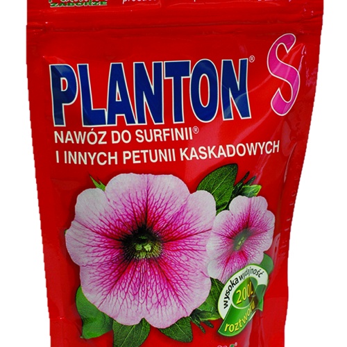 planton_s__806832498